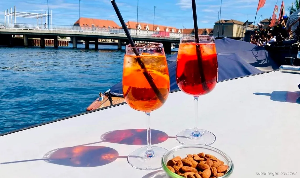 Hund an Bord einer Kopenhagen private Bootstour mit Haustieren willkommen